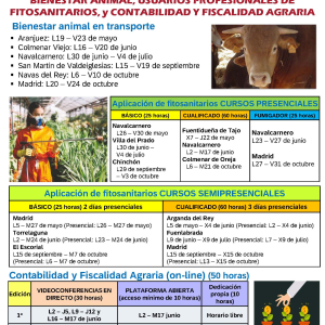Cursos organizados por IMIDRA durante el año 2025